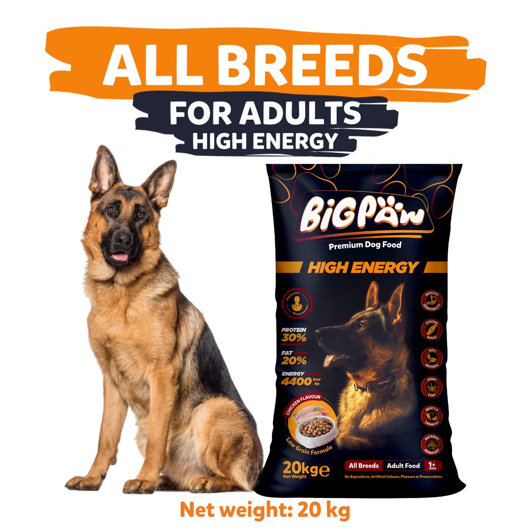Big Paw High Energy 20 kg