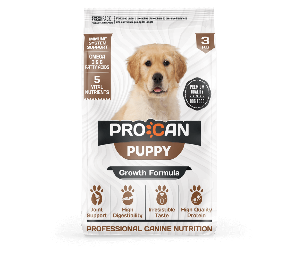 Pro can puppy